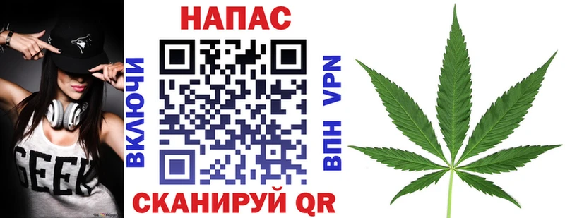 Купить  Приозерск  Конопля план 